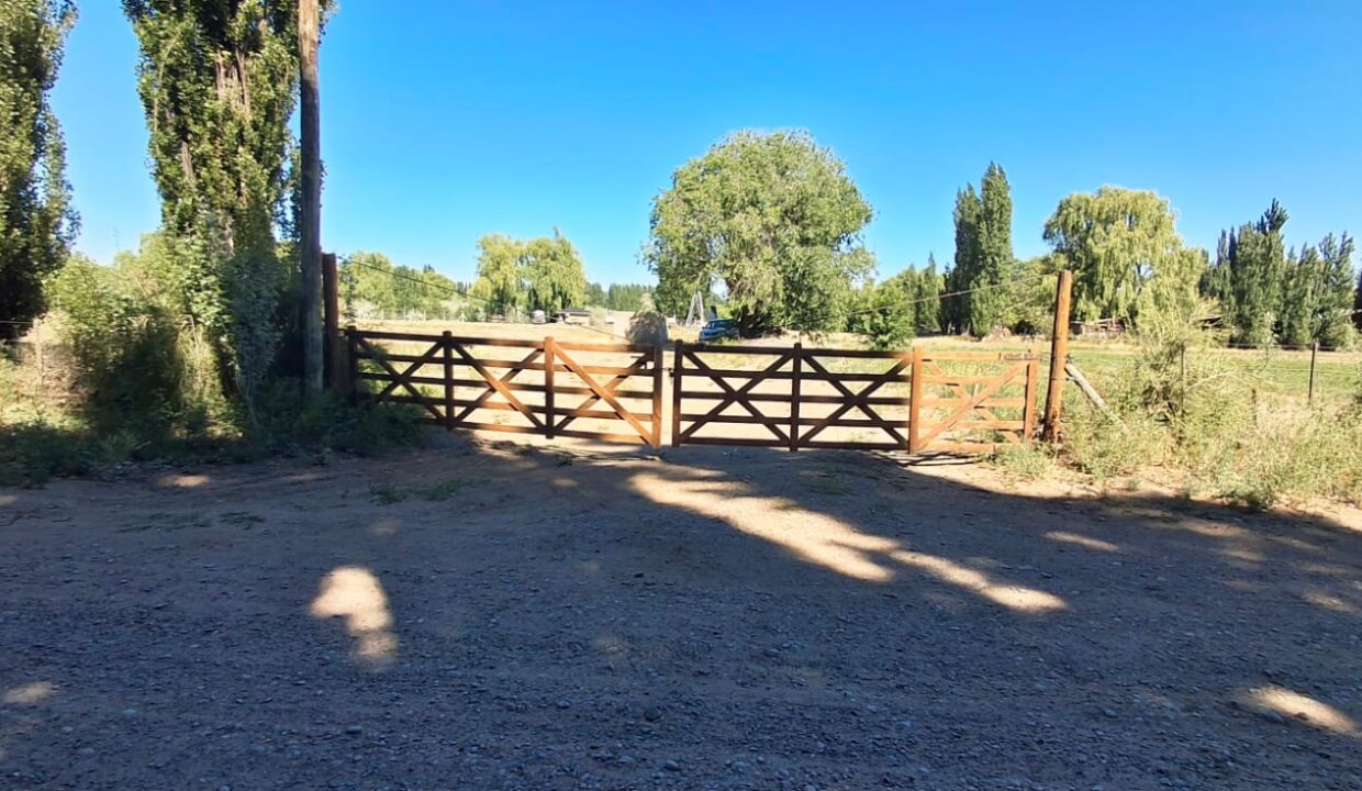 WhatsApp Image 2025-11-19 at 9.54.09 AM (1)