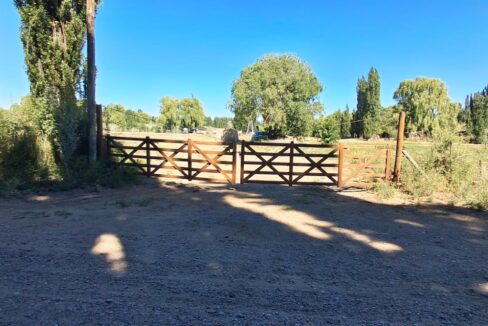 WhatsApp Image 2025-11-19 at 9.54.09 AM (1)