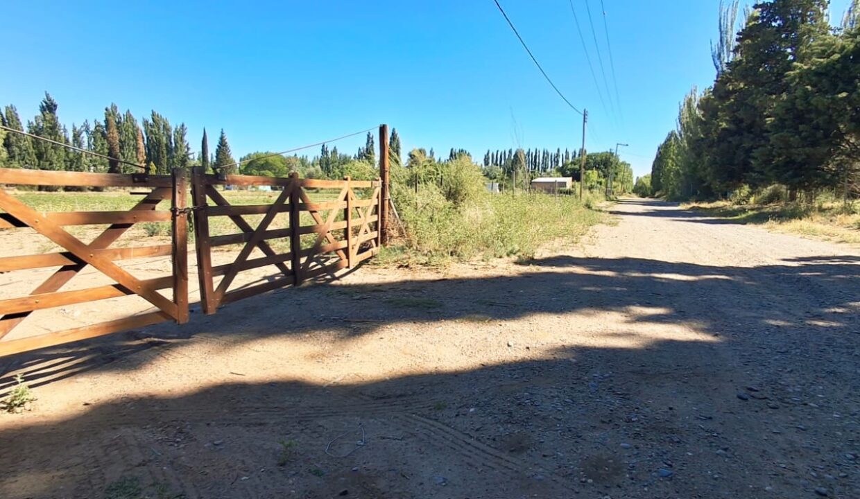 WhatsApp Image 2025-11-19 at 9.54.09 AM