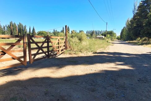 WhatsApp Image 2025-11-19 at 9.54.09 AM