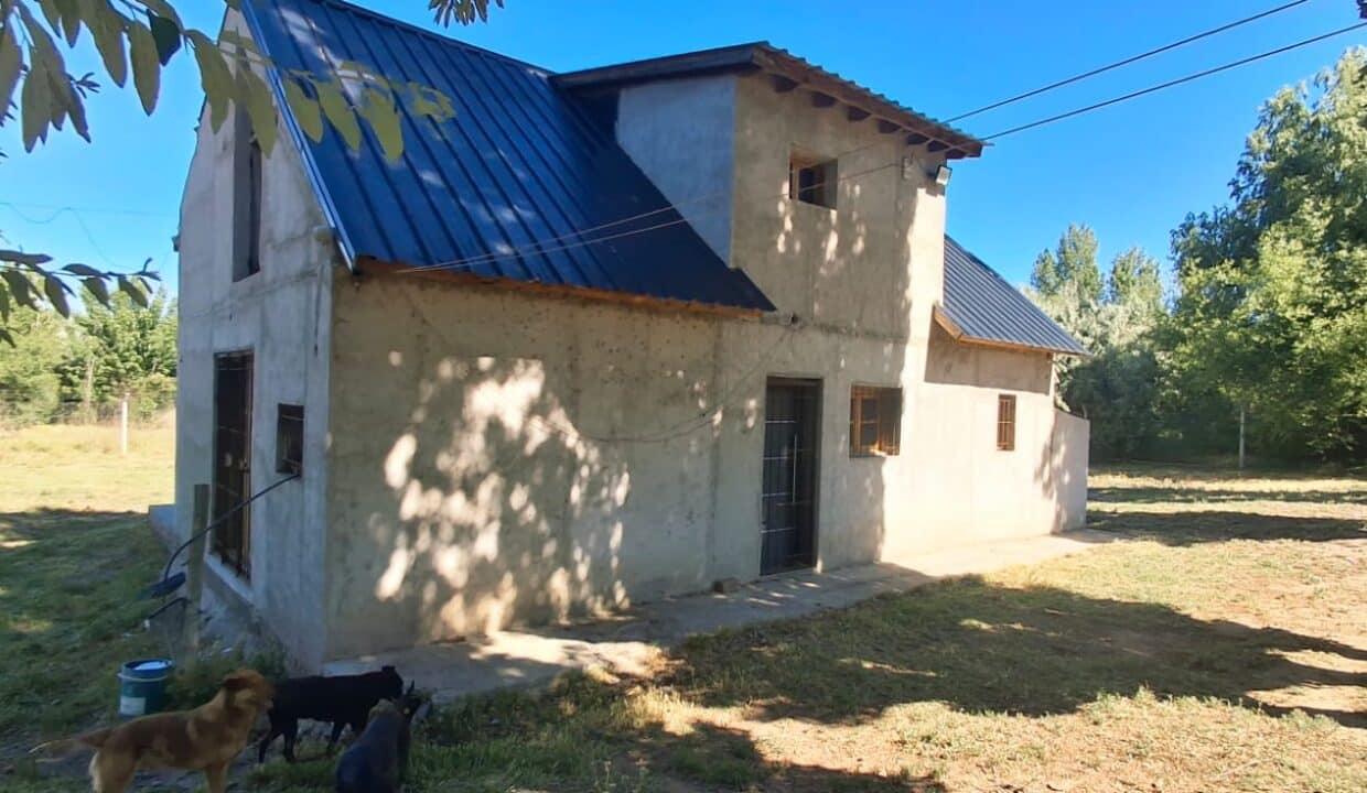 WhatsApp Image 2025-11-19 at 9.54.10 AM (3)