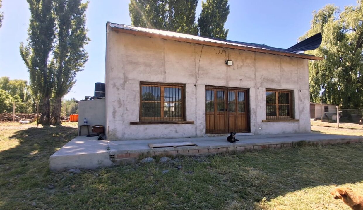 WhatsApp Image 2025-11-19 at 9.54.11 AM