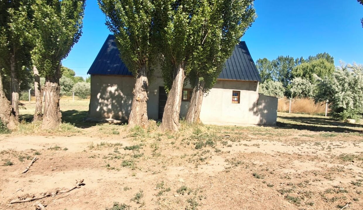 WhatsApp Image 2025-11-19 at 9.54.11 AM (2)