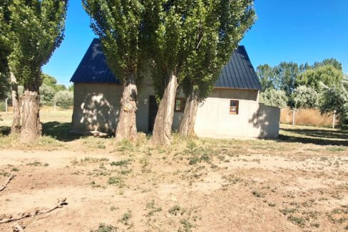 WhatsApp Image 2025-11-19 at 9.54.11 AM (2)