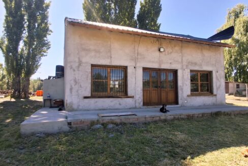 WhatsApp Image 2025-11-19 at 9.54.11 AM